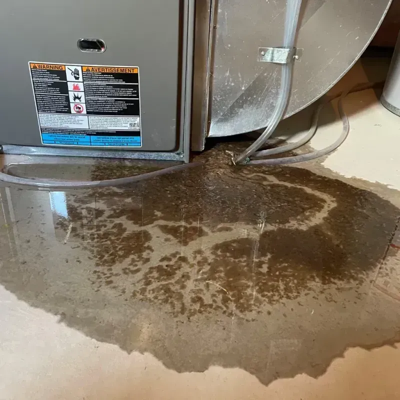 Appliance Leak Cleanup in Duluth, MN